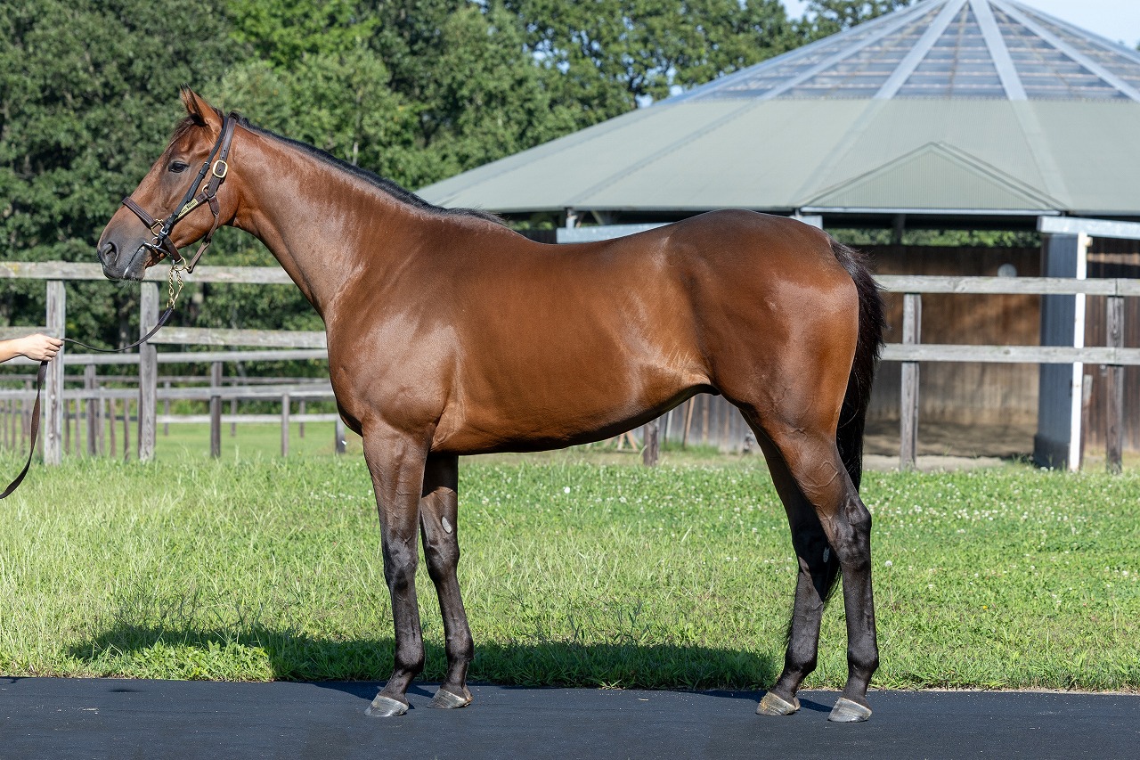 画像サムネイル