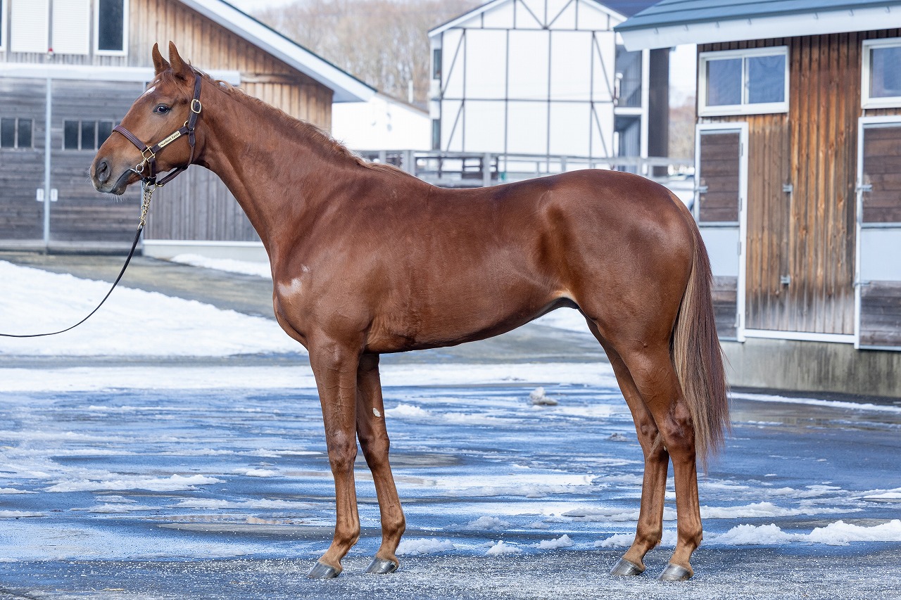 画像サムネイル