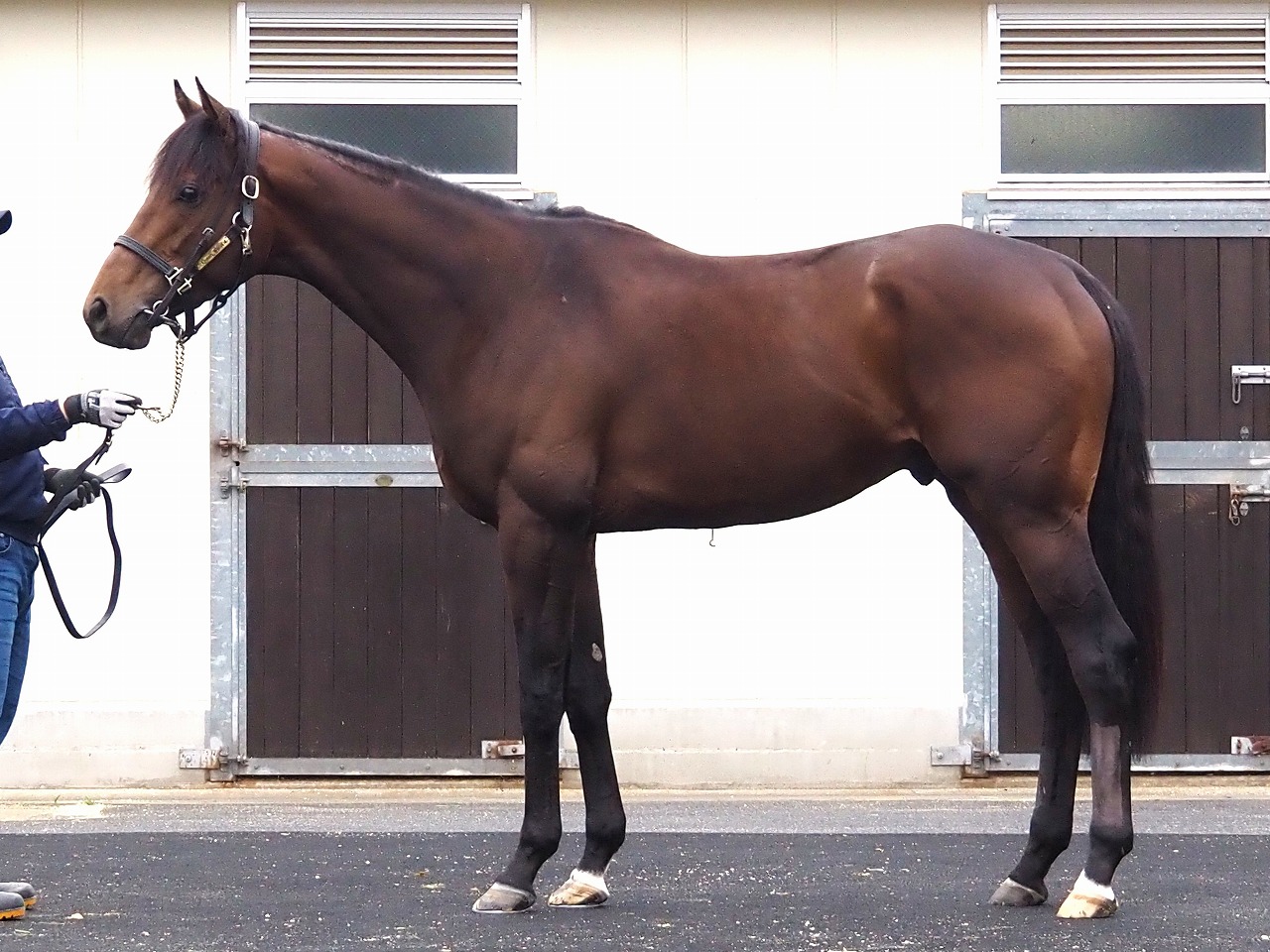 画像サムネイル