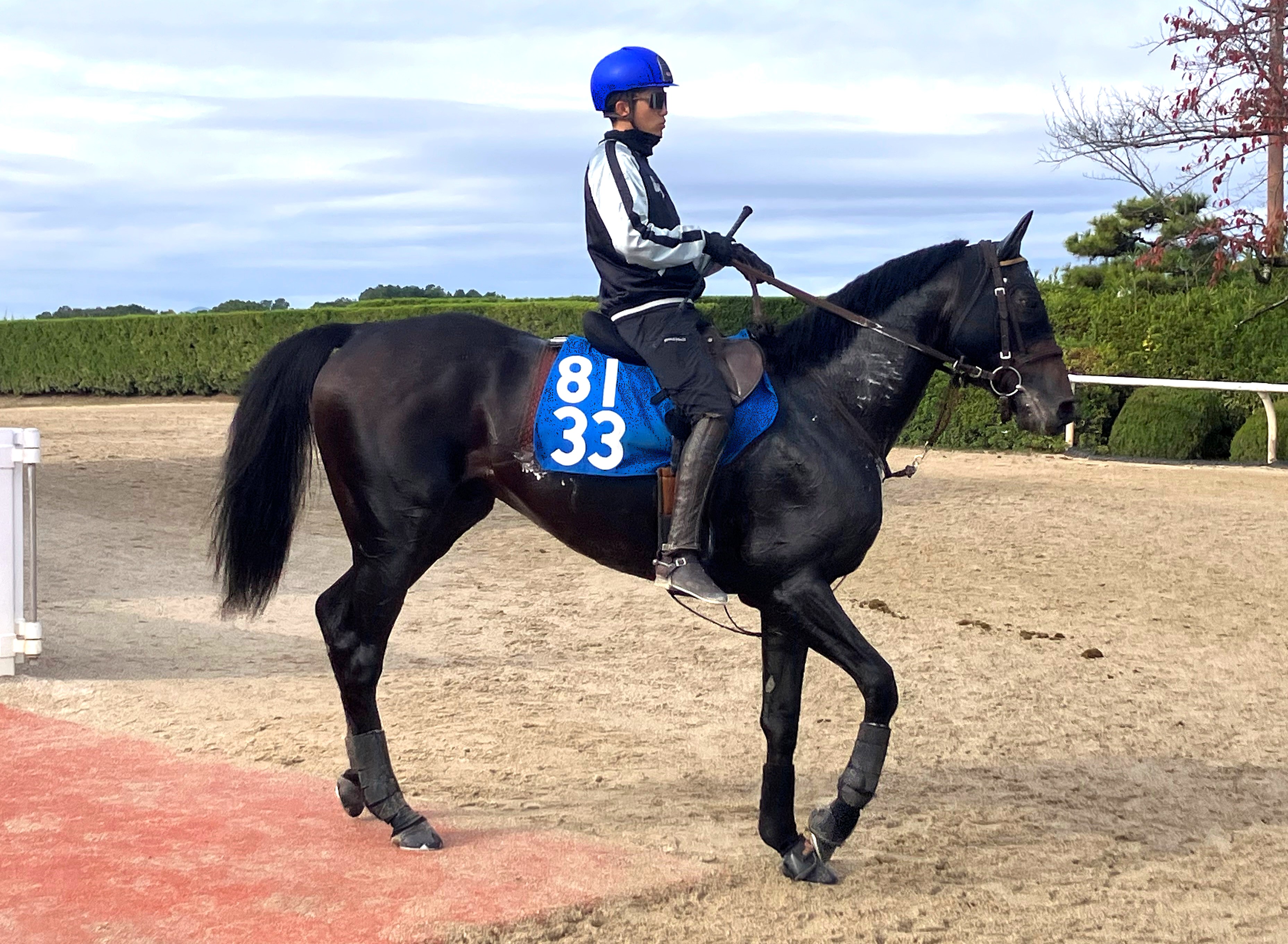 画像サムネイル