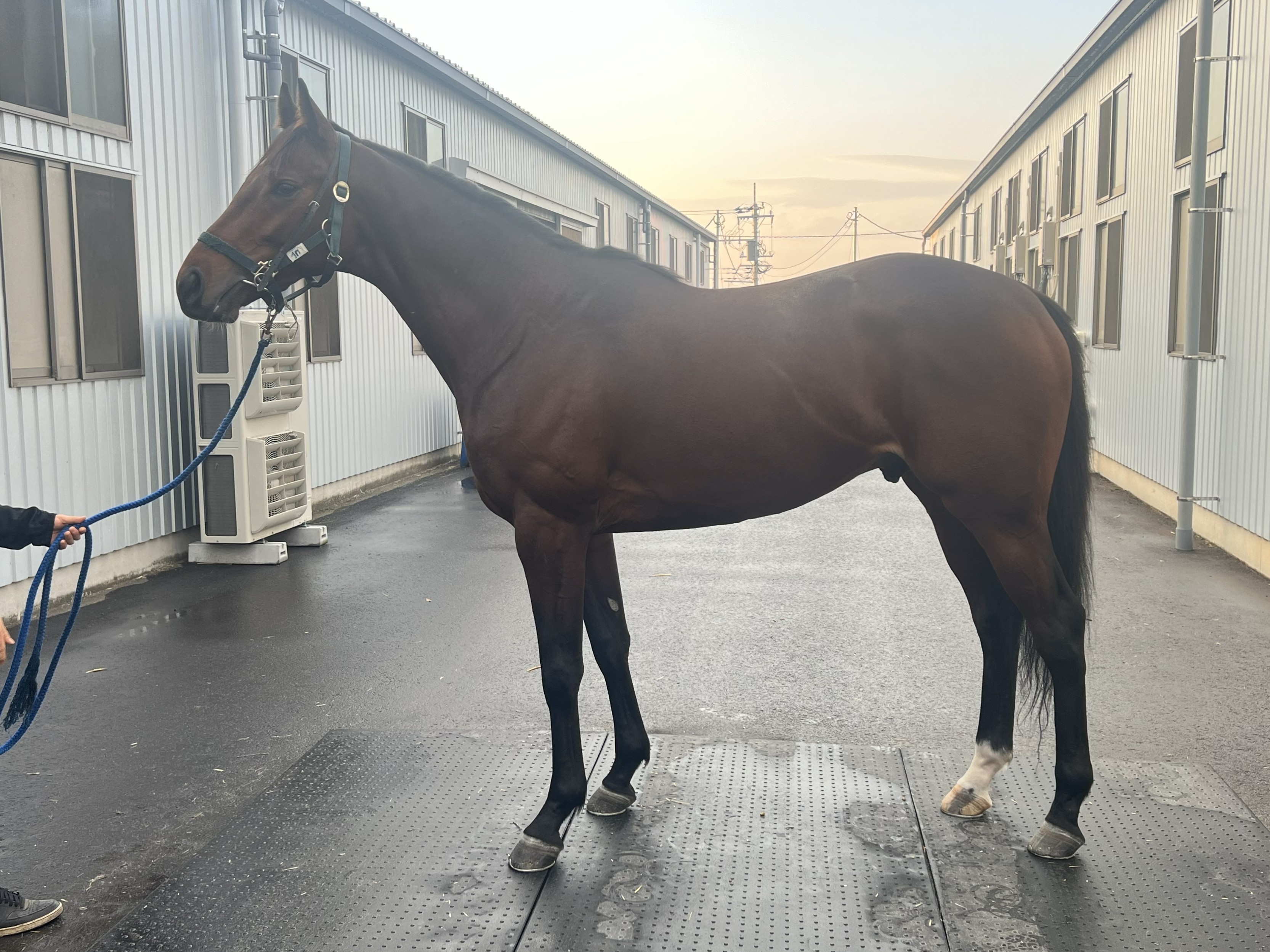 画像サムネイル