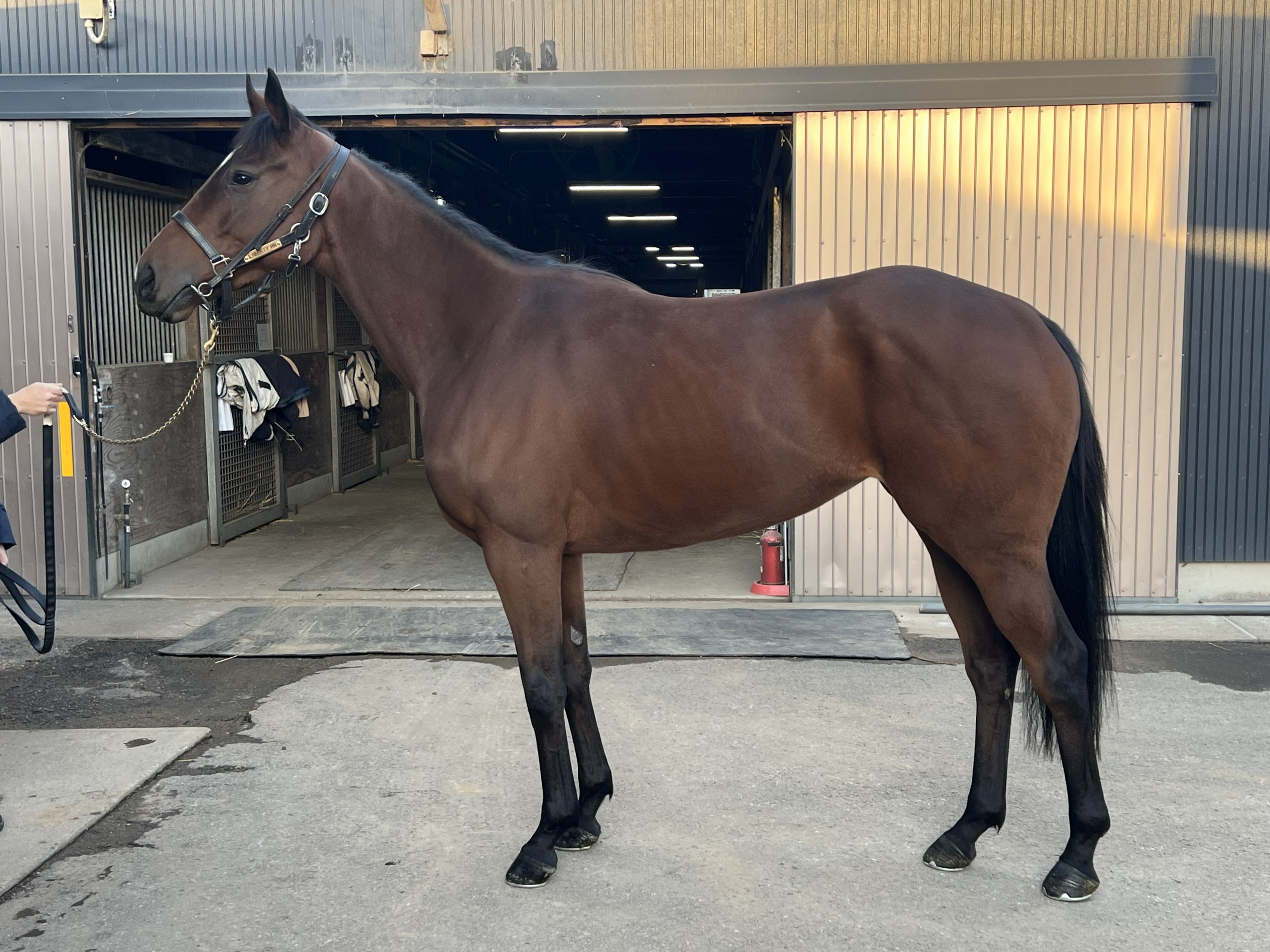 画像サムネイル