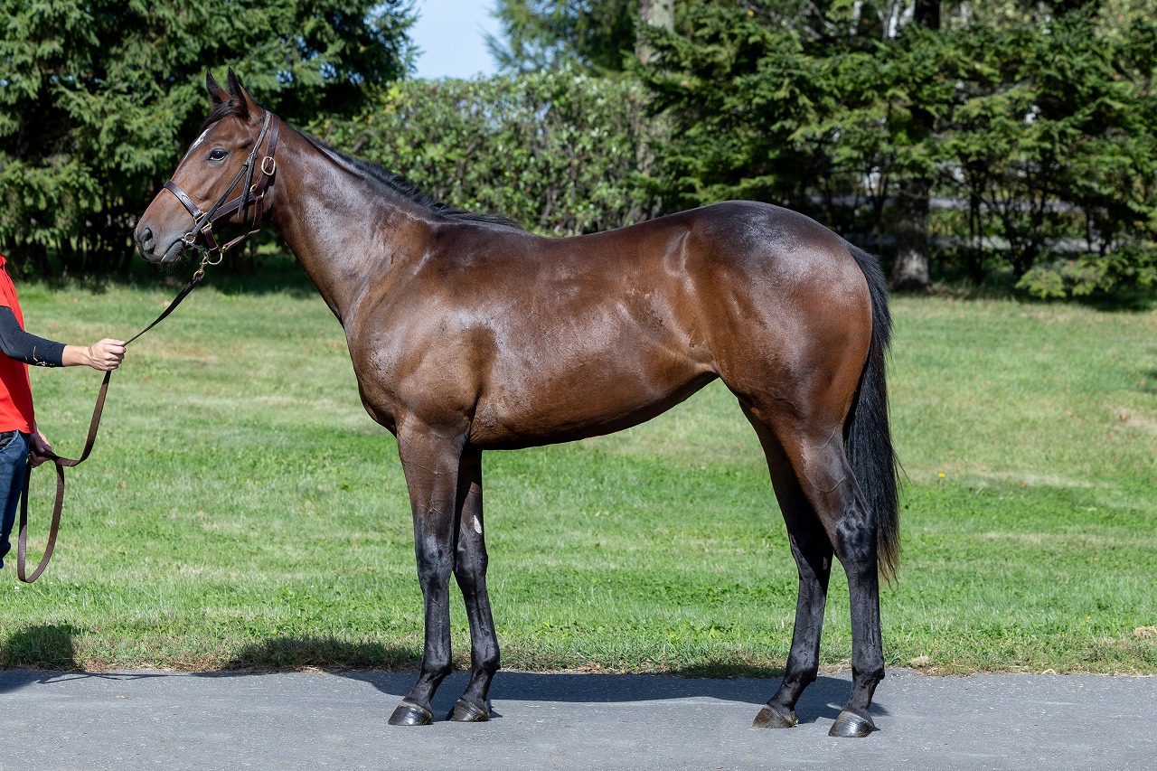 画像サムネイル