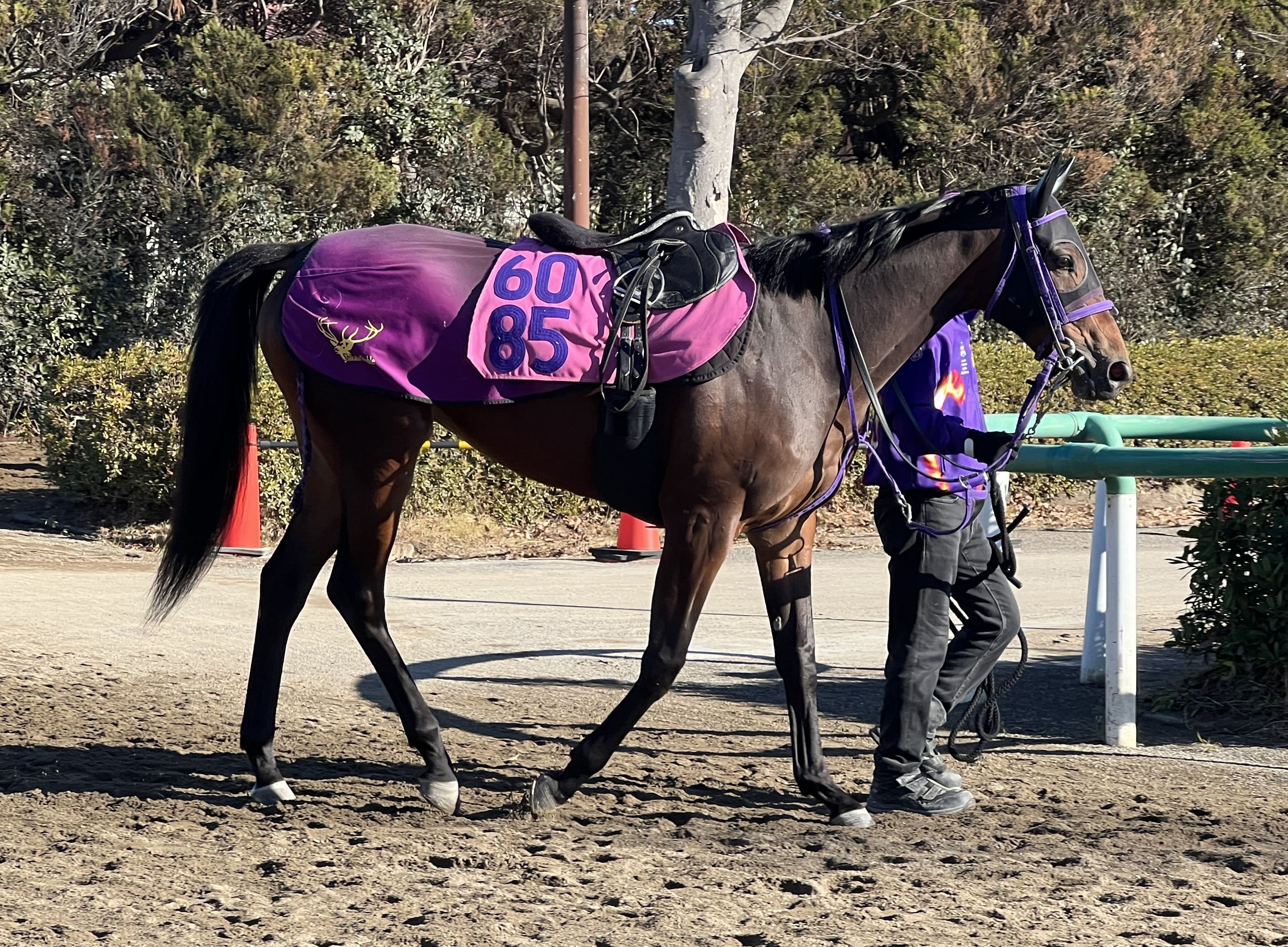 画像サムネイル