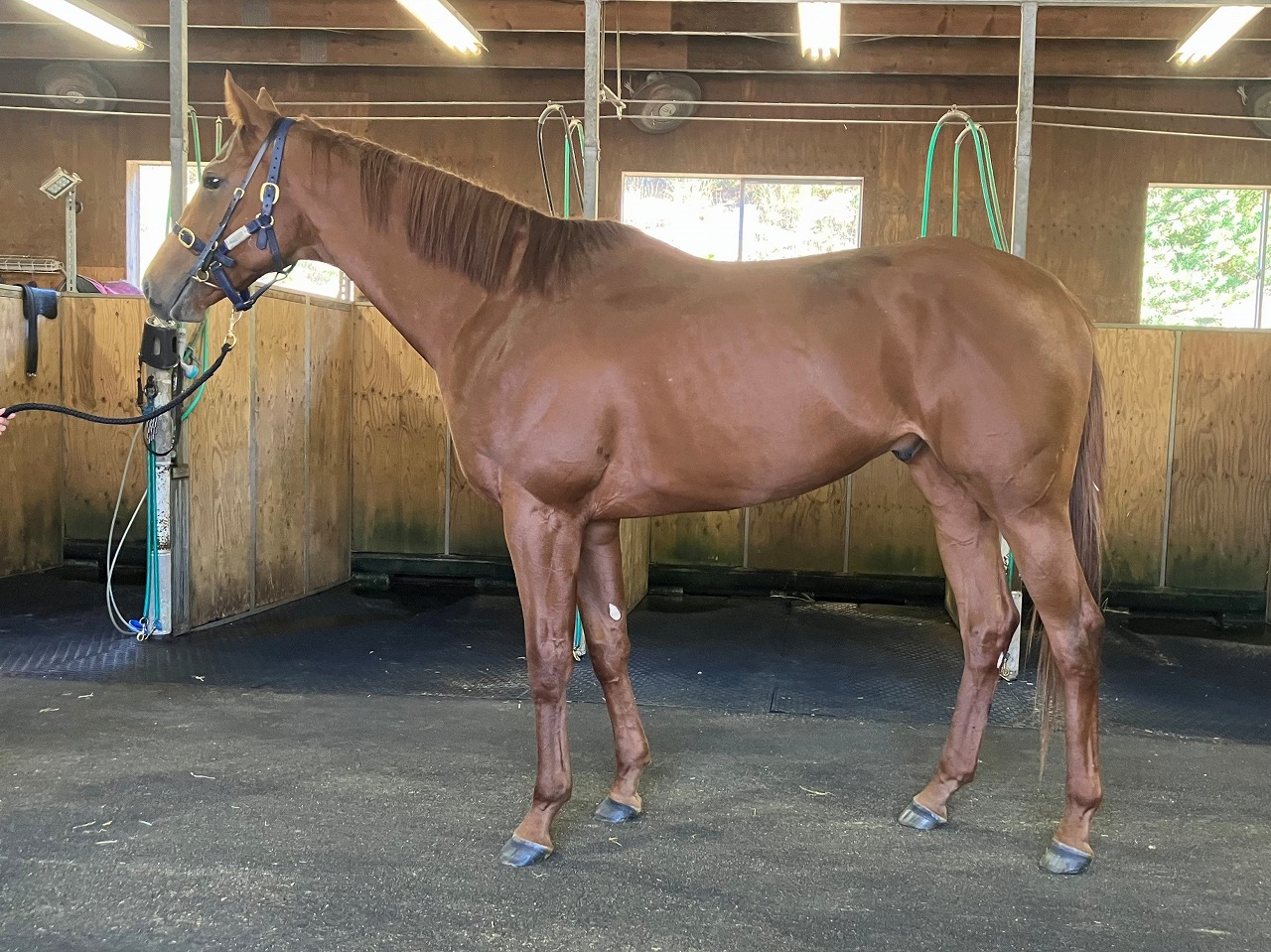 画像サムネイル