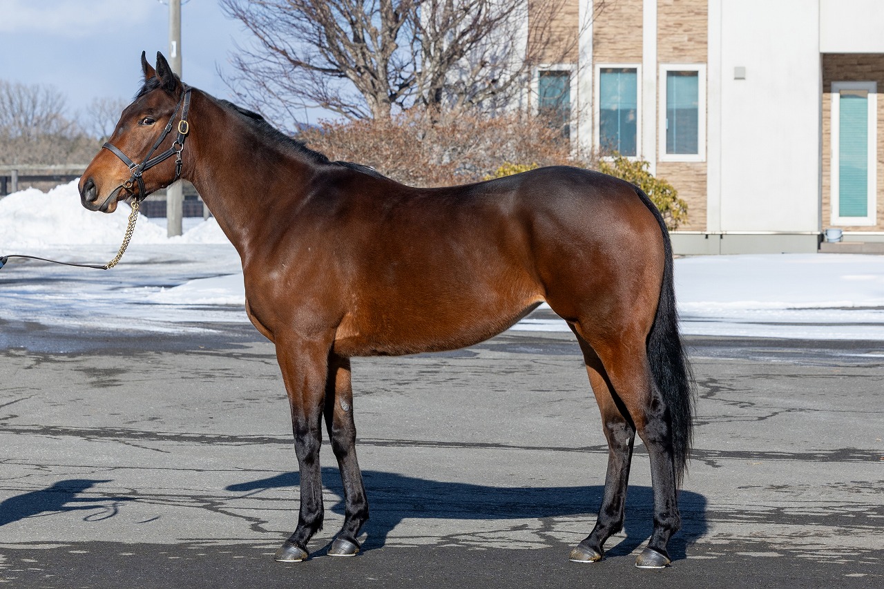 画像サムネイル