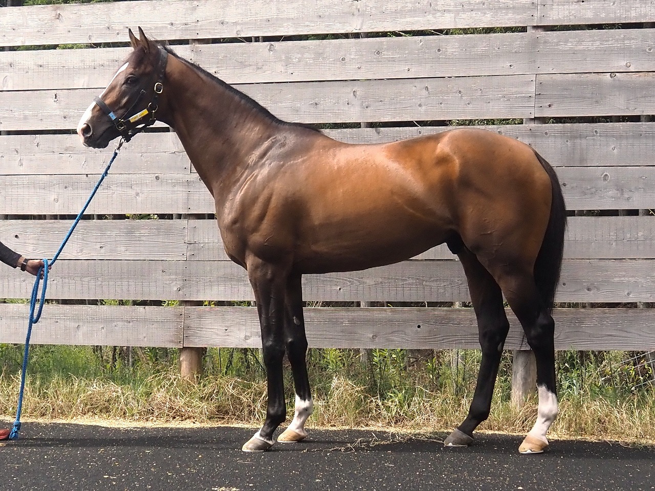 画像サムネイル