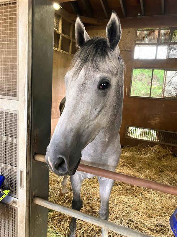 画像サムネイル