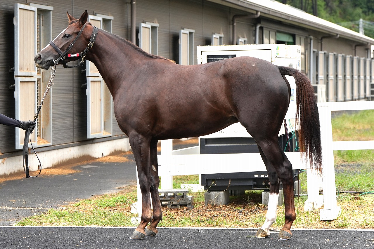 画像サムネイル