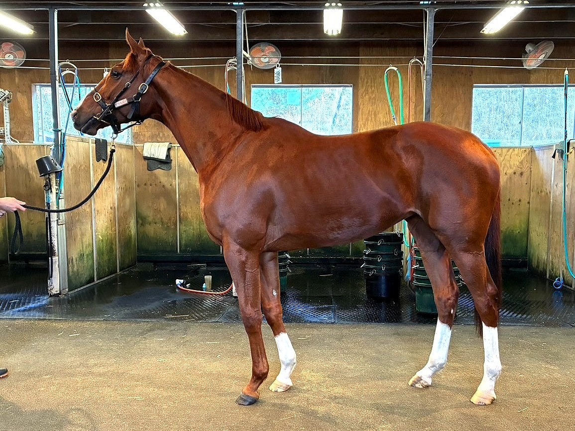 画像サムネイル