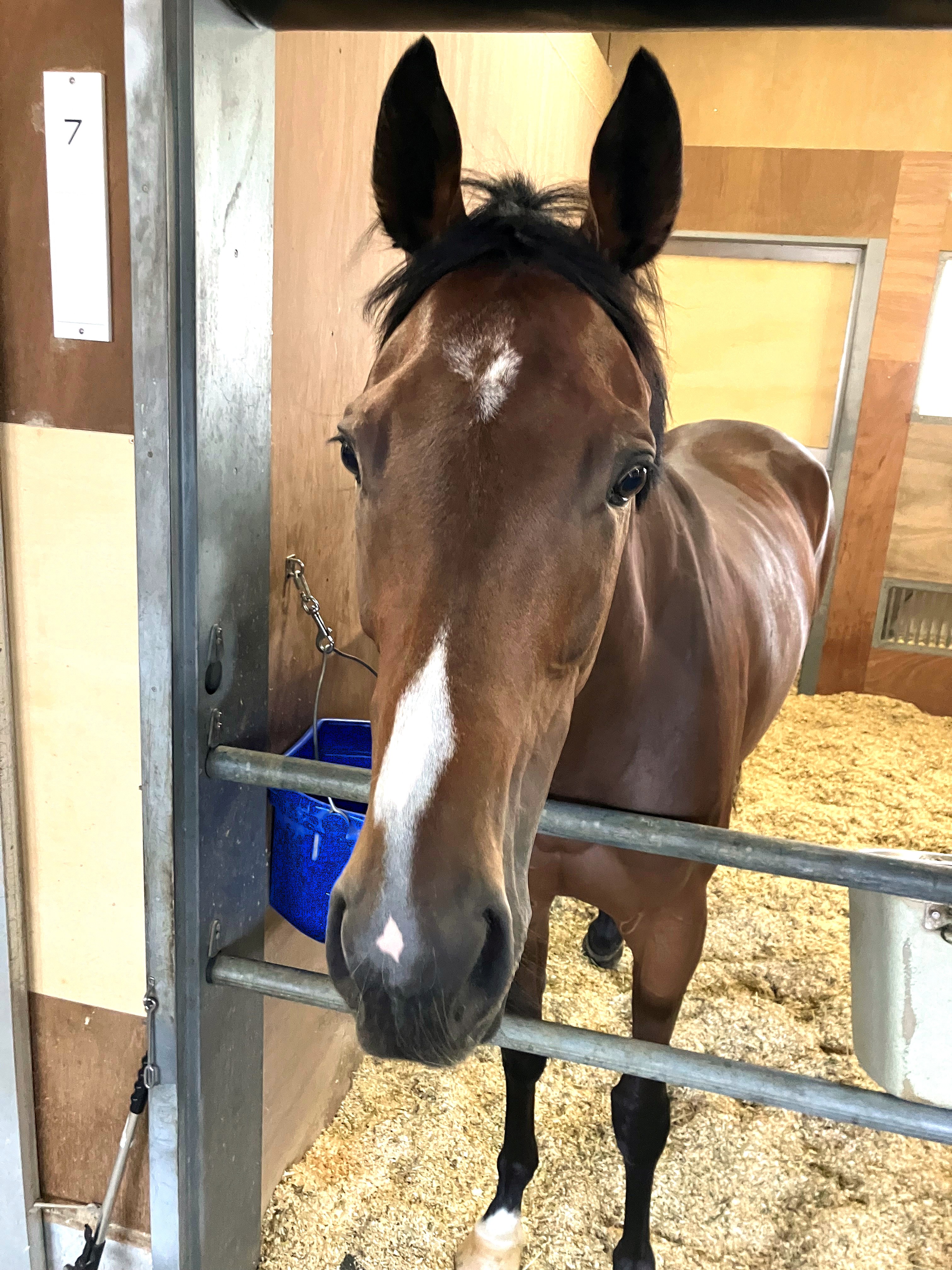 画像サムネイル