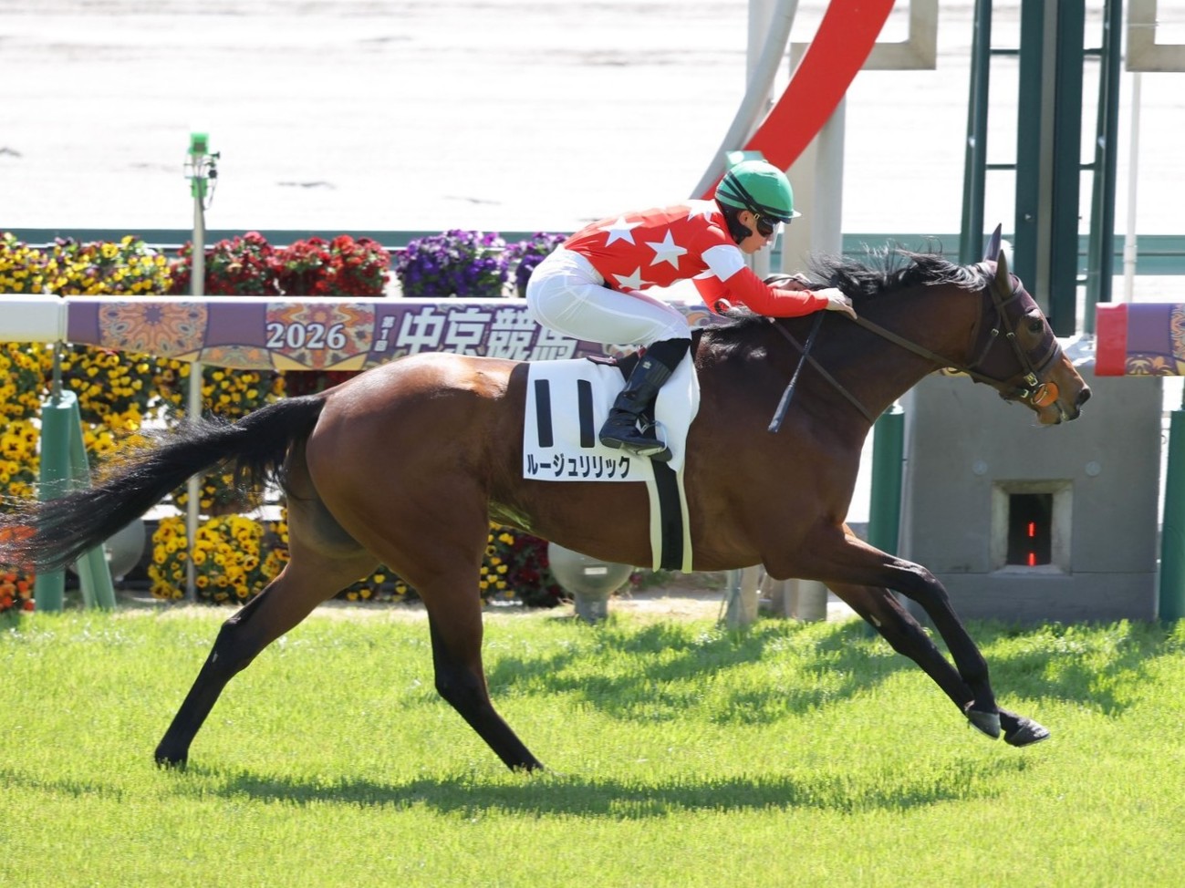 画像サムネイル