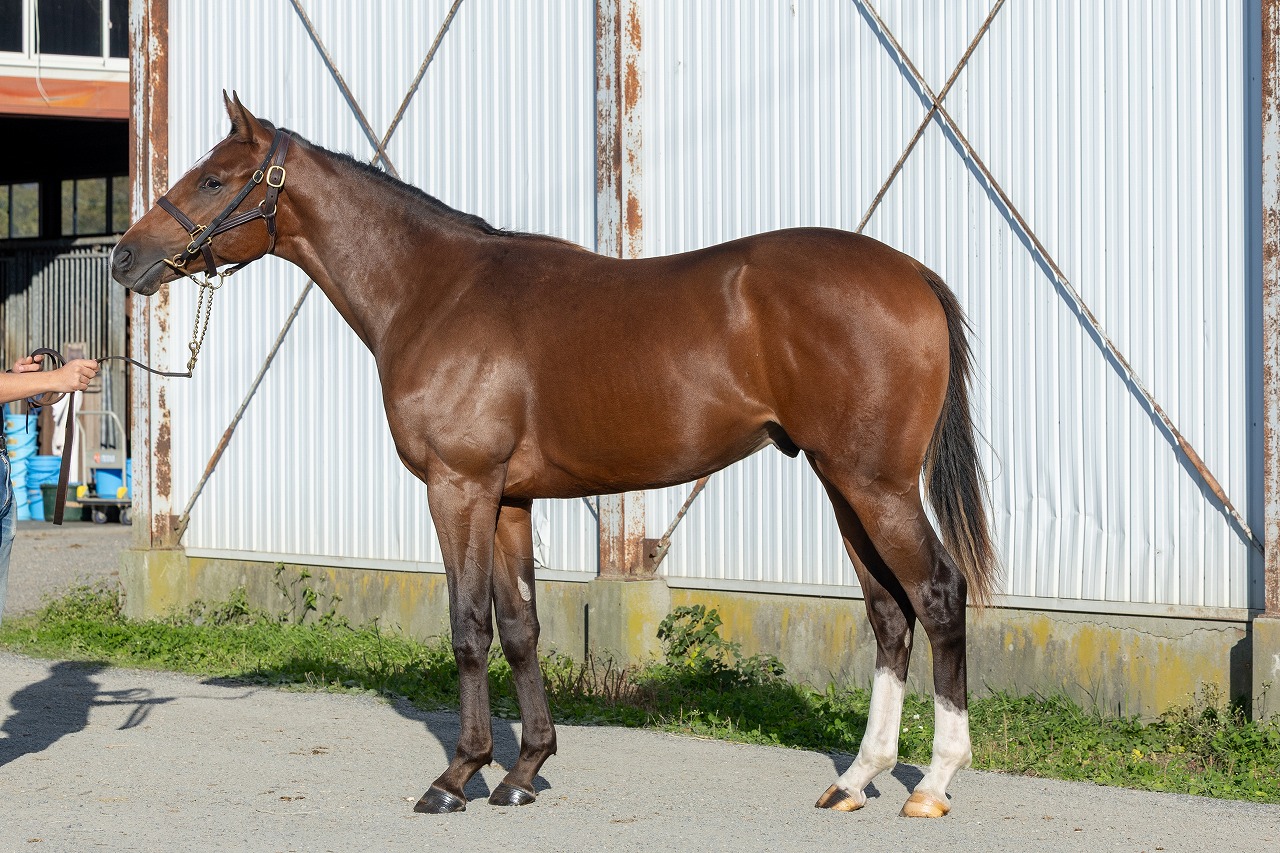 画像サムネイル