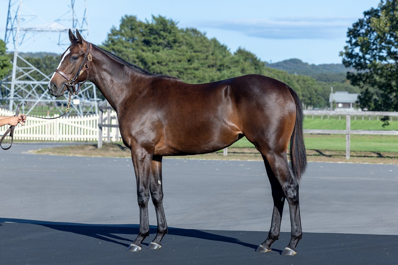 画像サムネイル