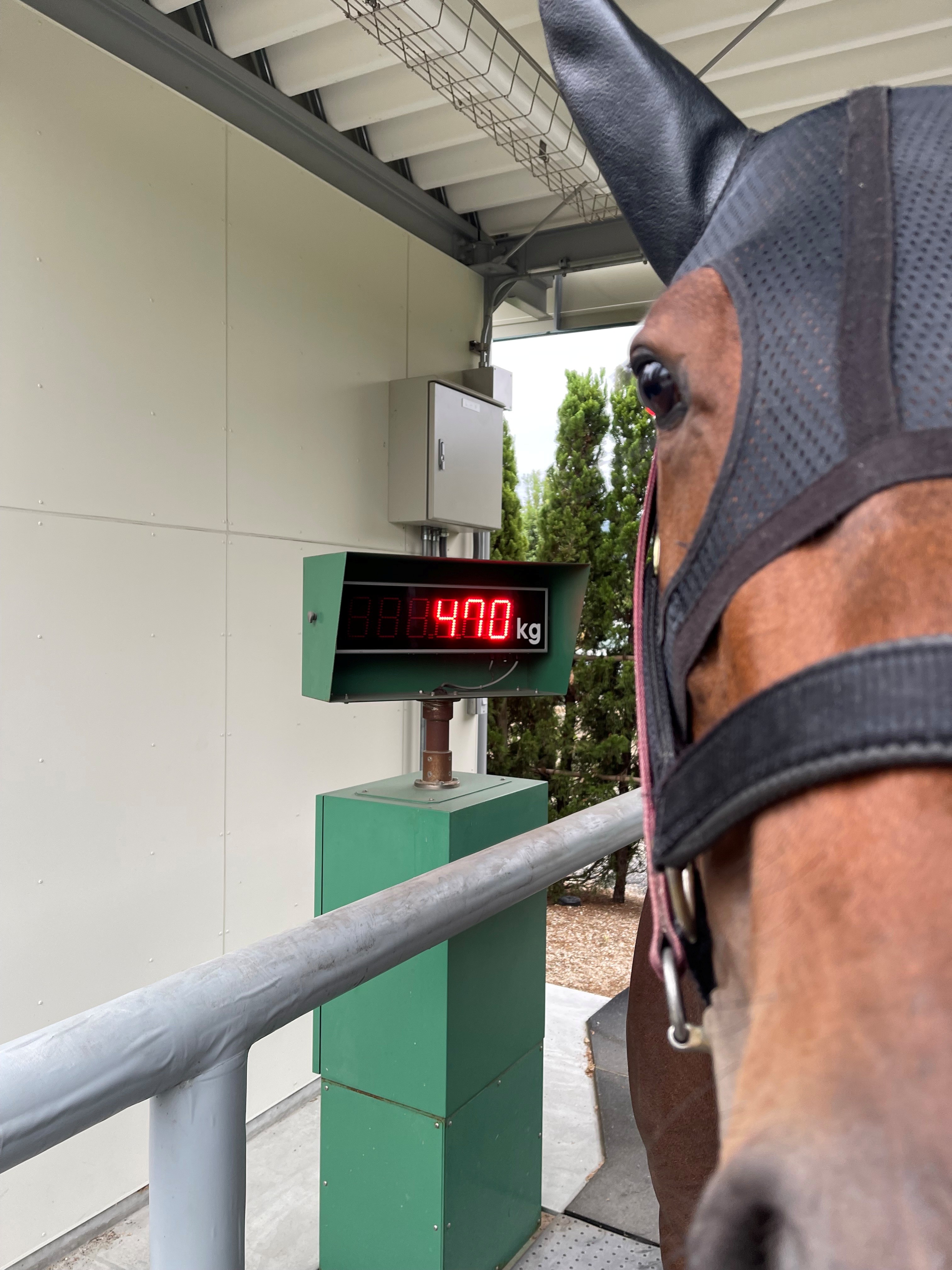 画像サムネイル