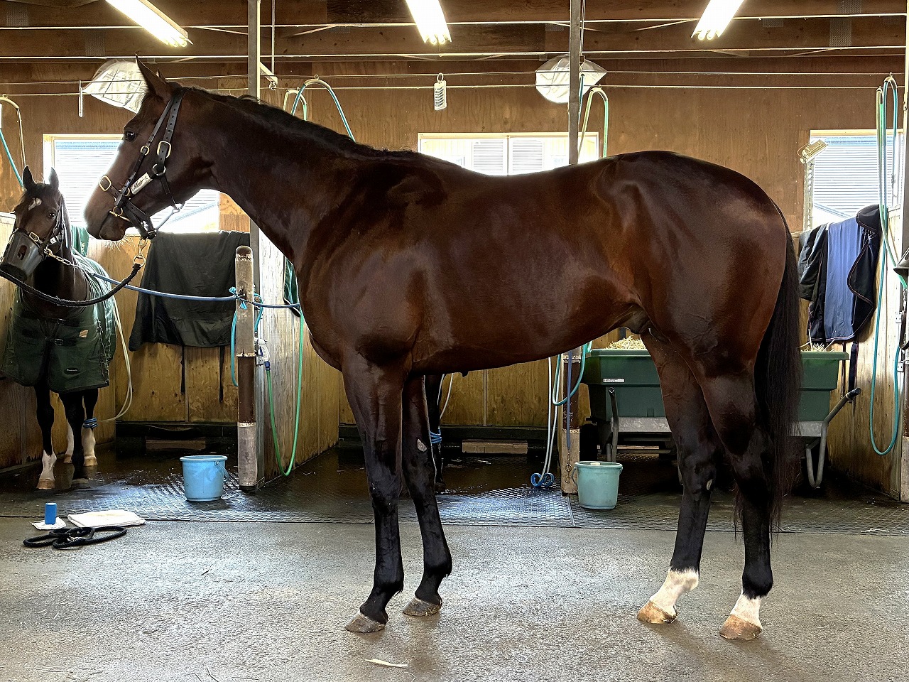 画像サムネイル