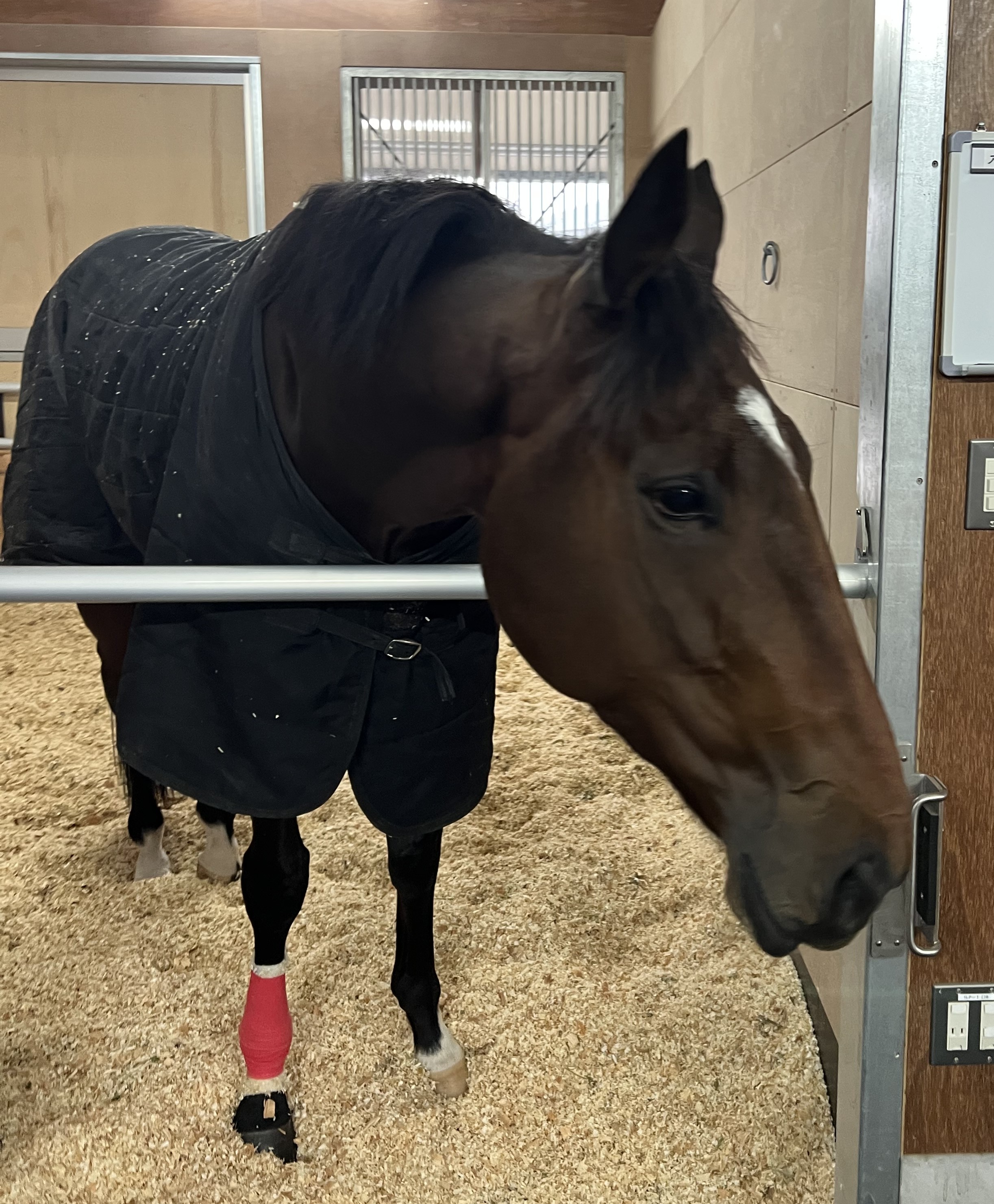 画像サムネイル