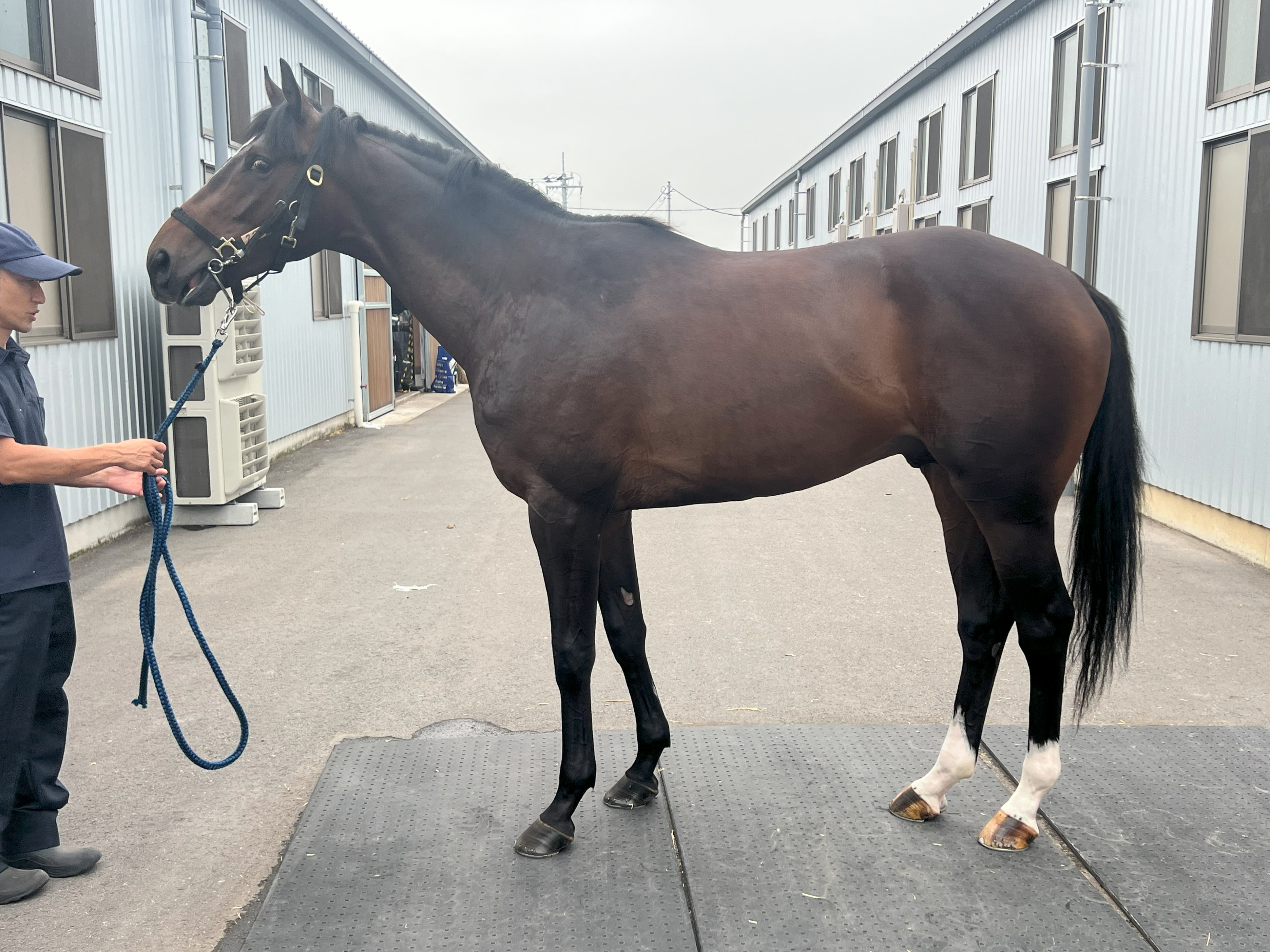 画像サムネイル