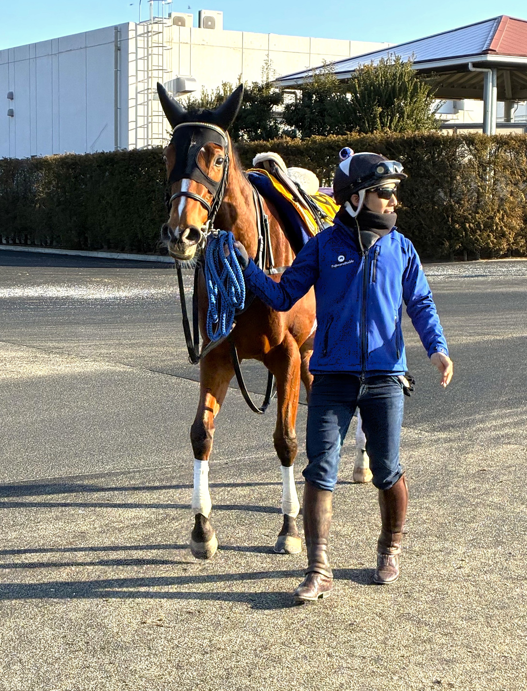 画像サムネイル