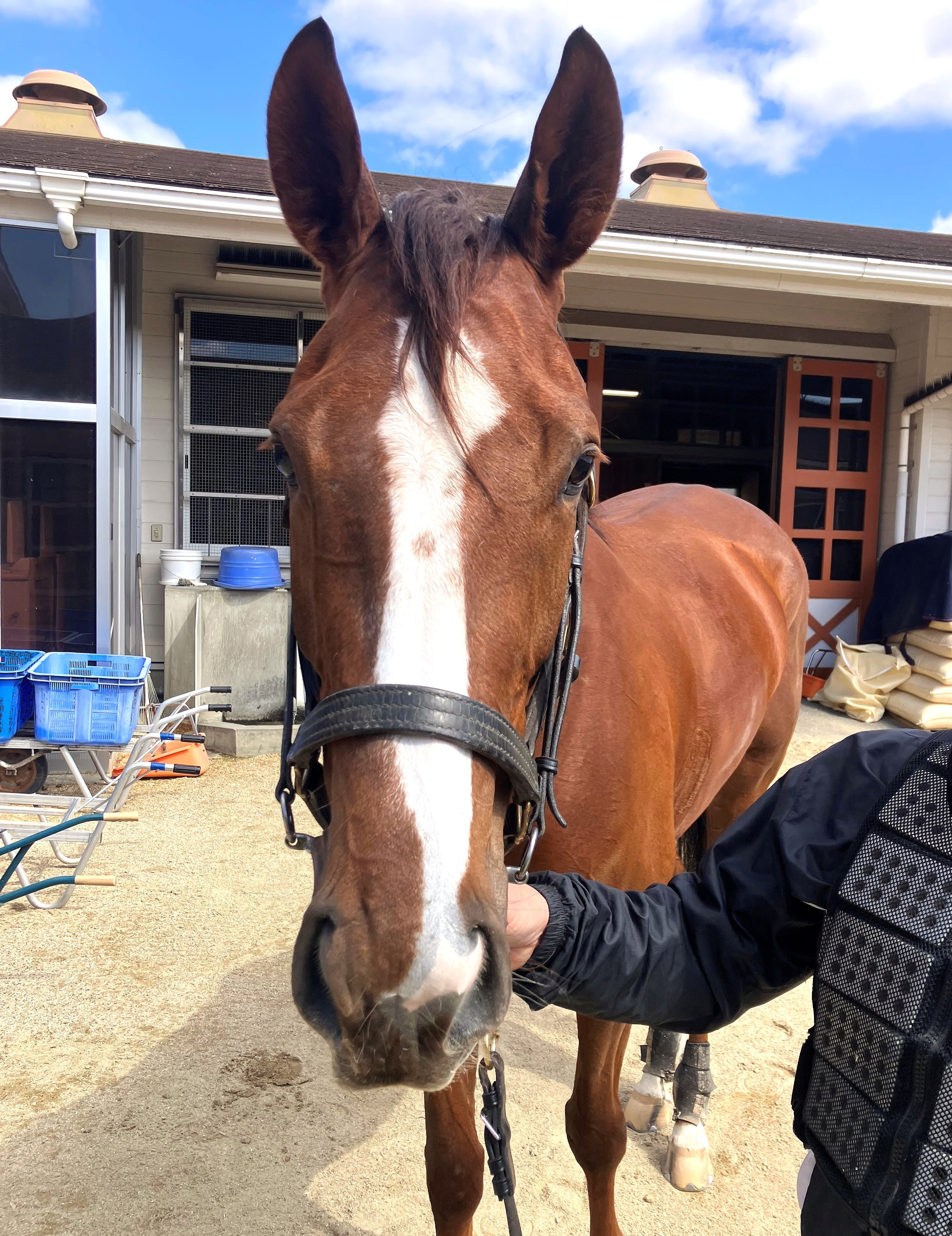 画像サムネイル