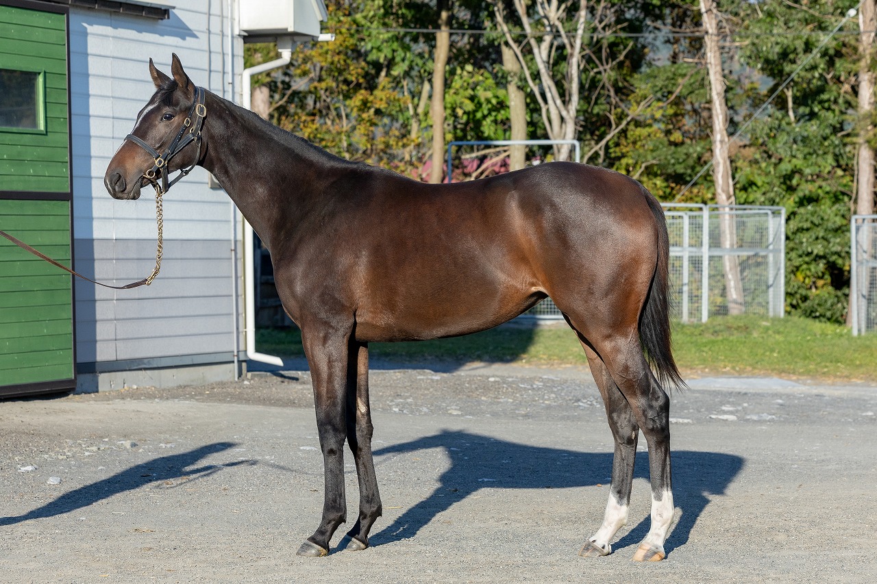 画像サムネイル