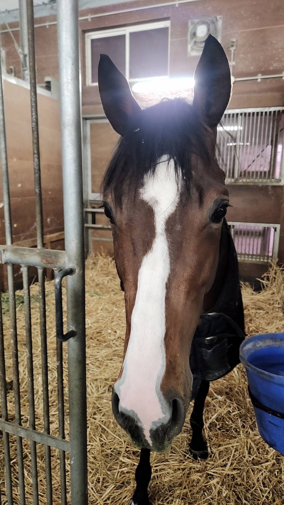 画像サムネイル