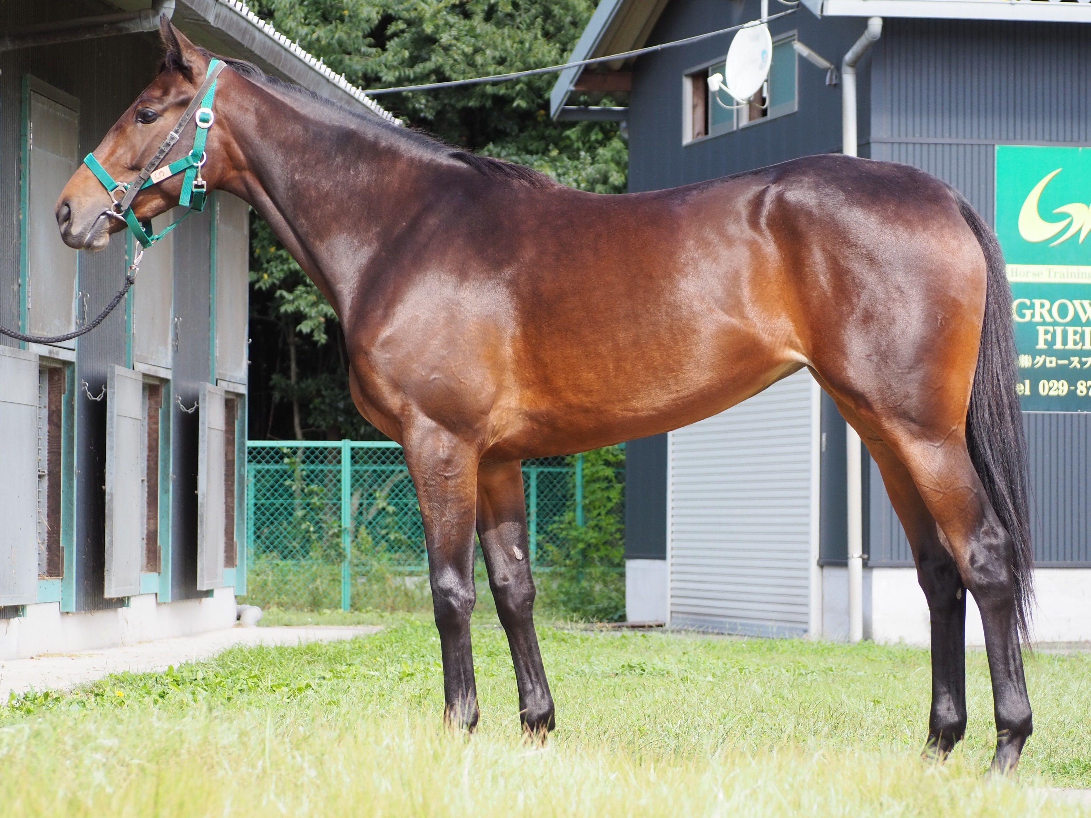 画像サムネイル