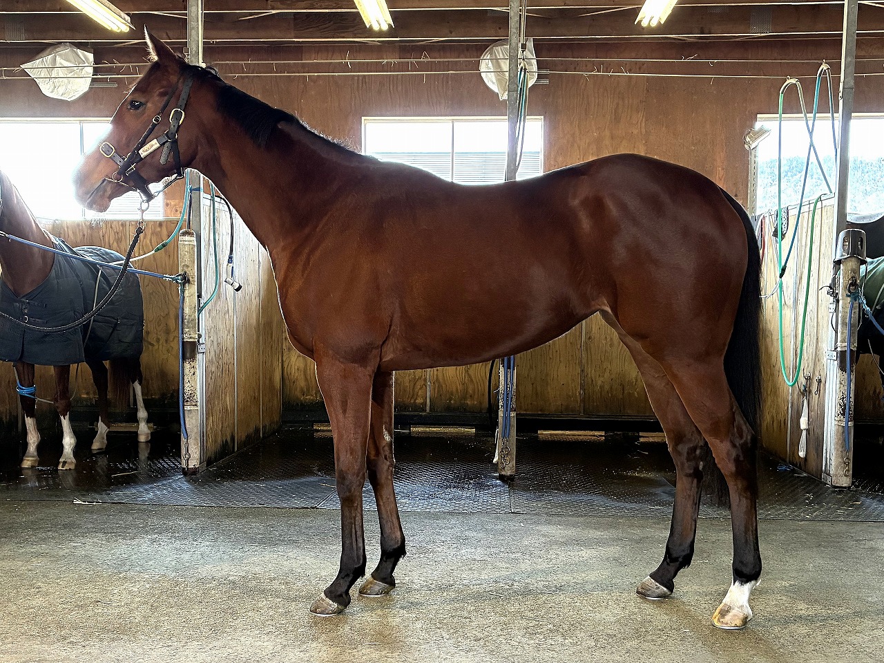 画像サムネイル