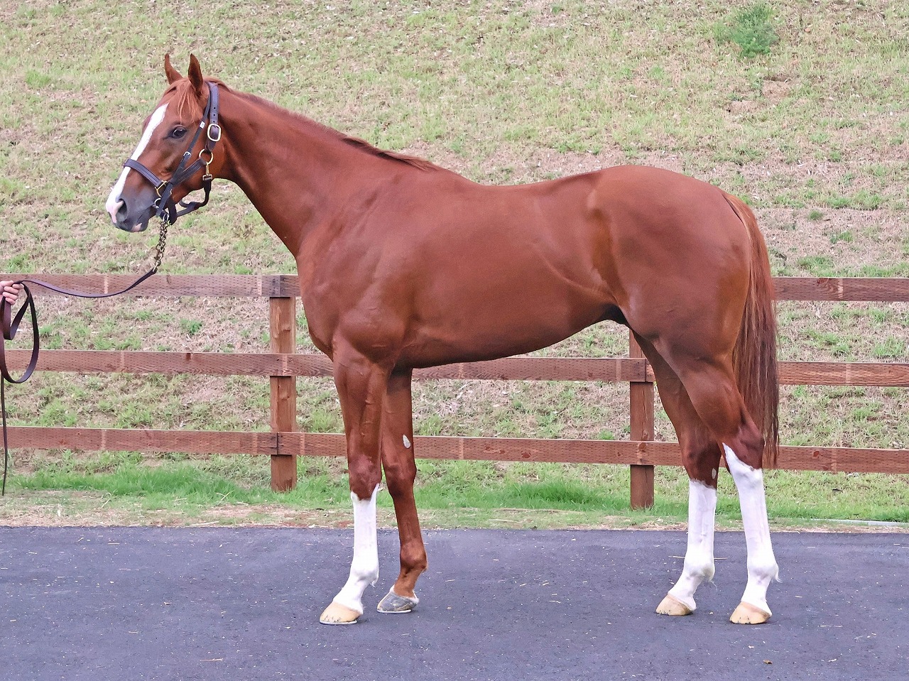 画像サムネイル