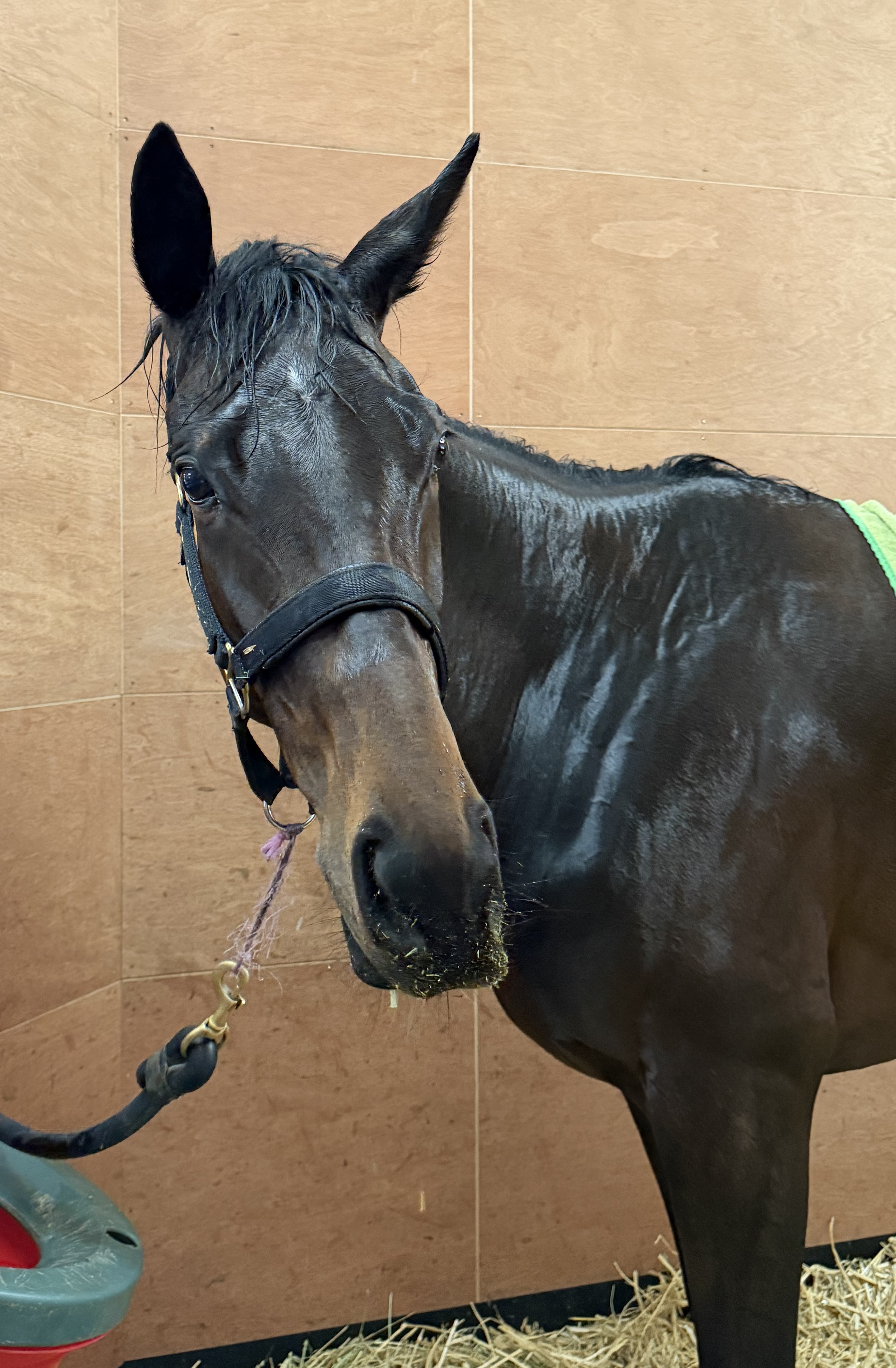 画像サムネイル