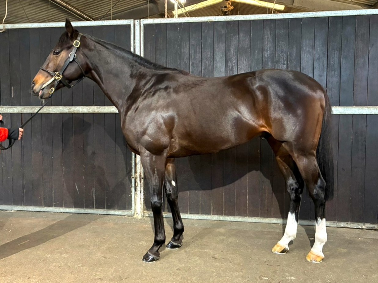 画像サムネイル