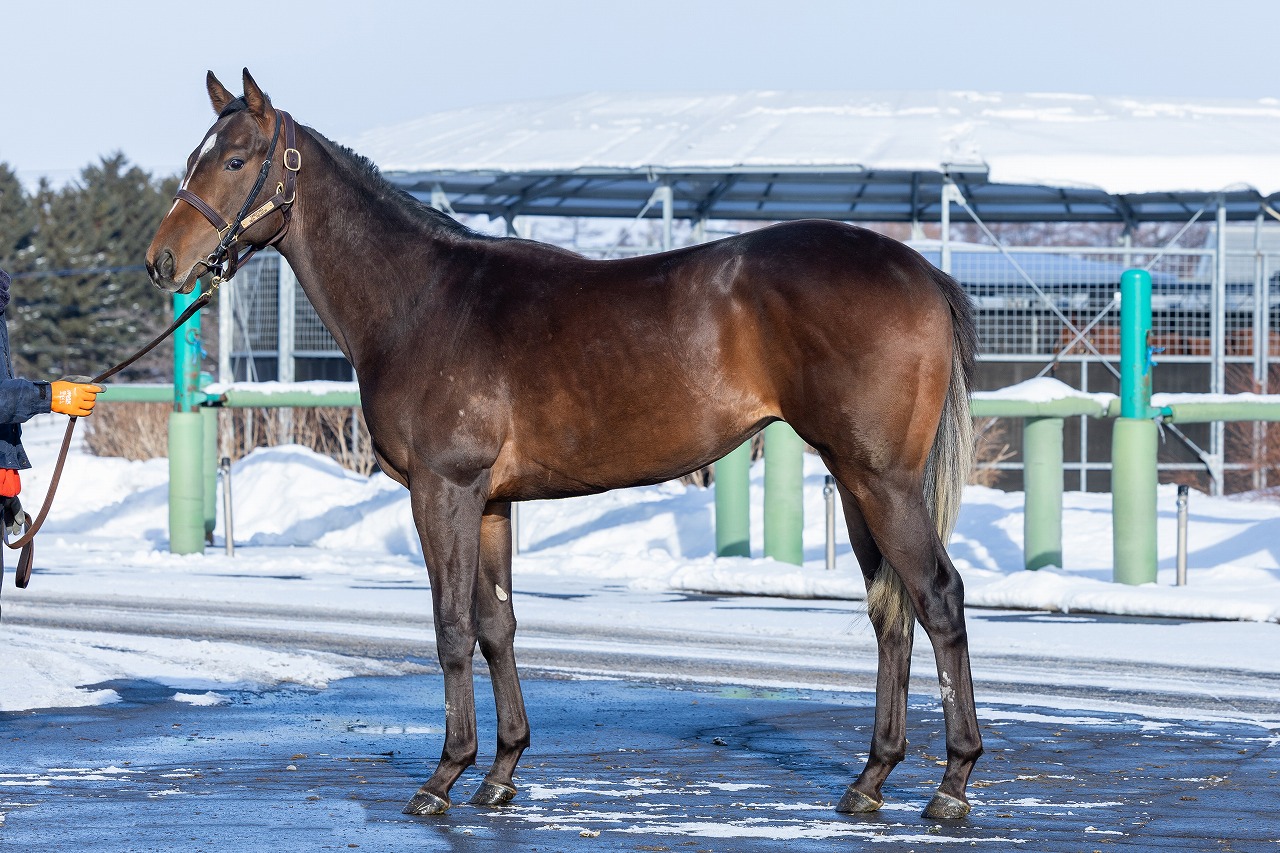 画像サムネイル