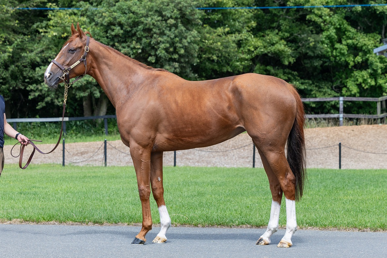 画像サムネイル