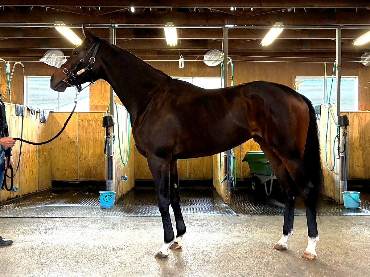 画像サムネイル