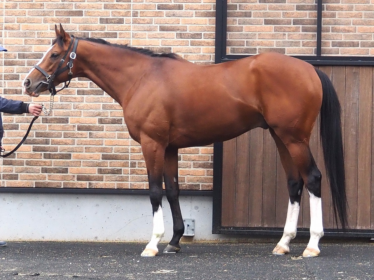 画像サムネイル