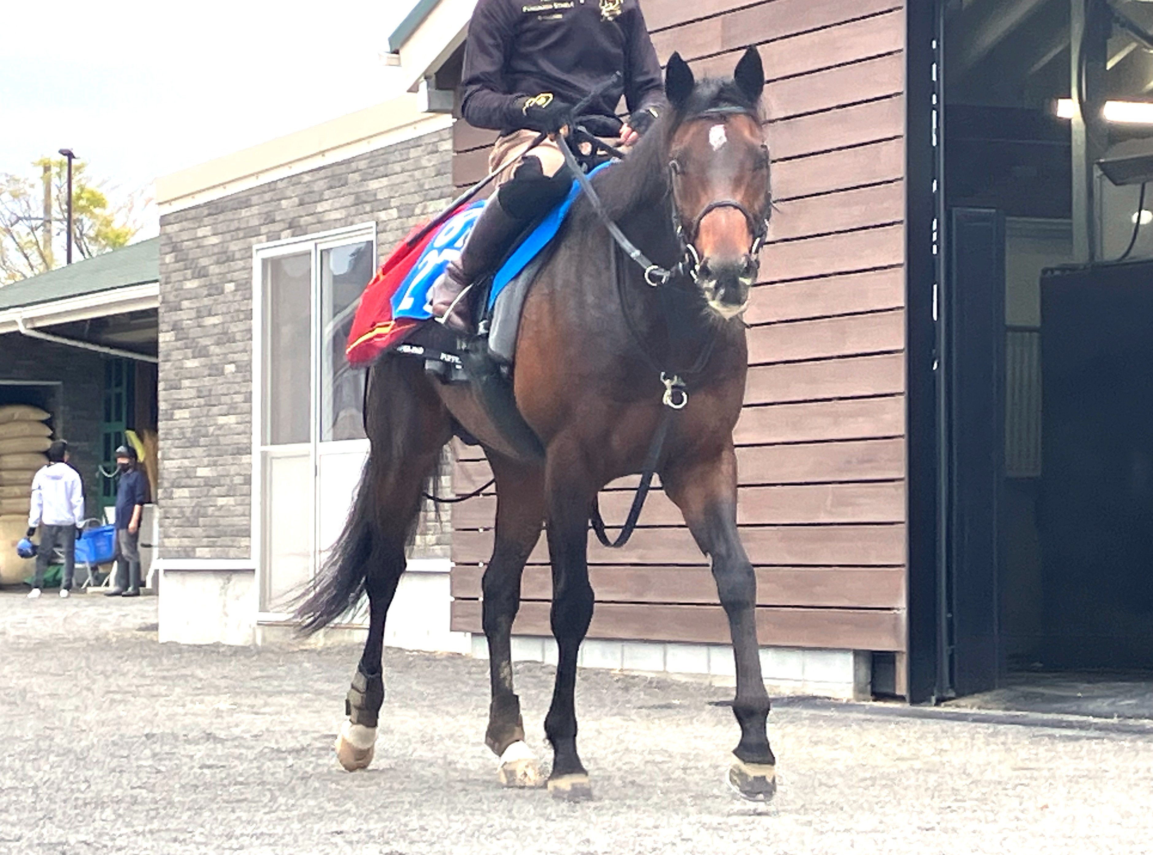 画像サムネイル