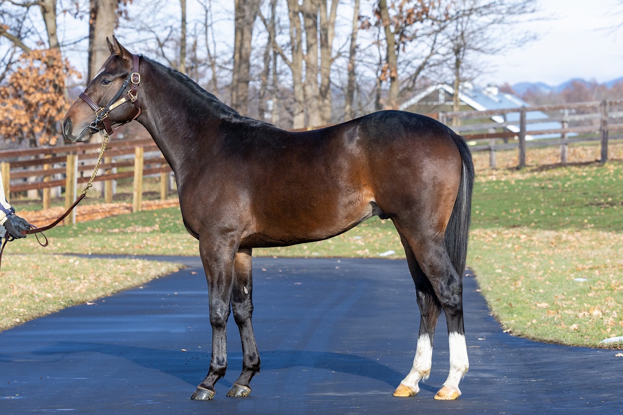 画像サムネイル