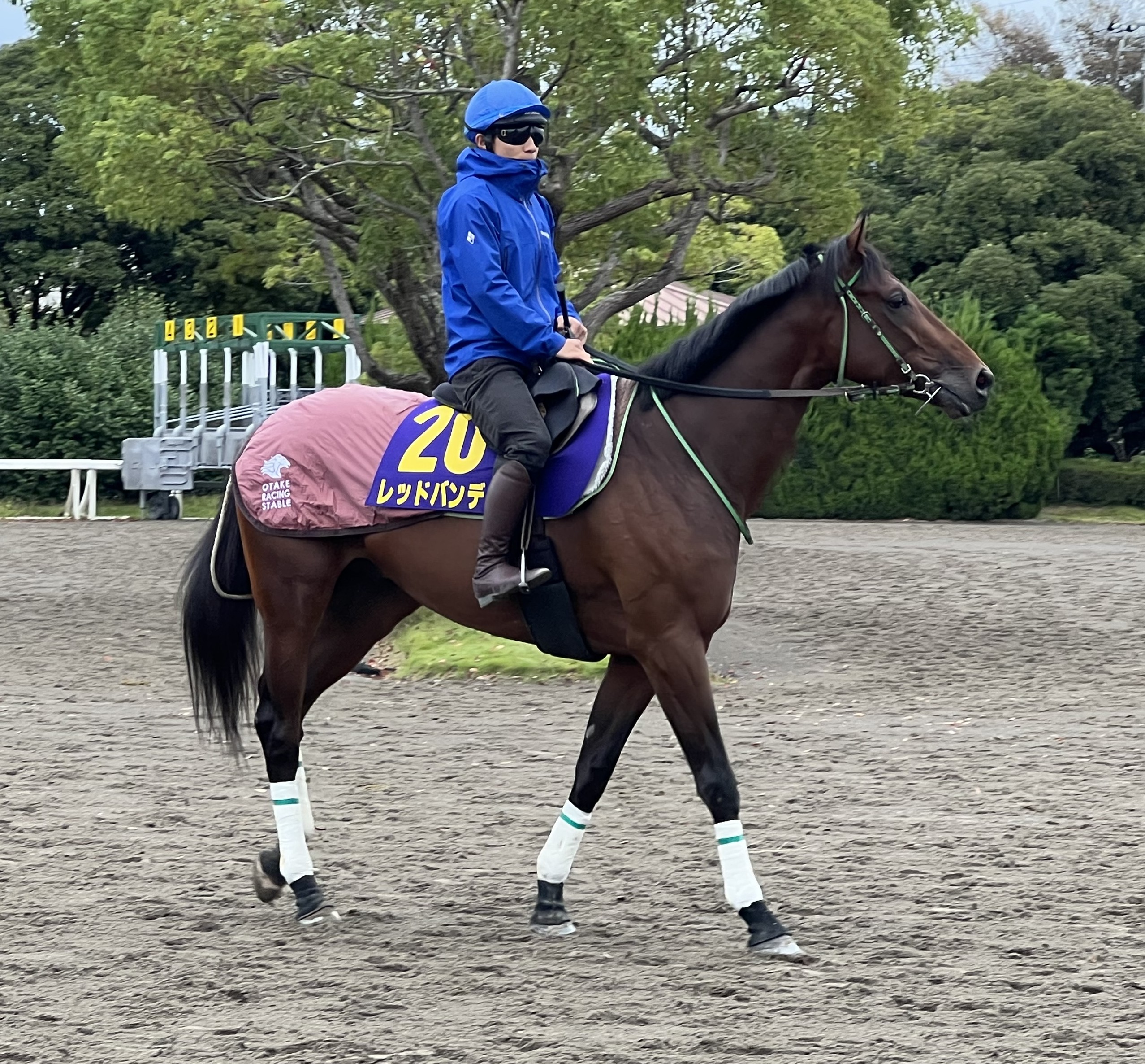 画像サムネイル