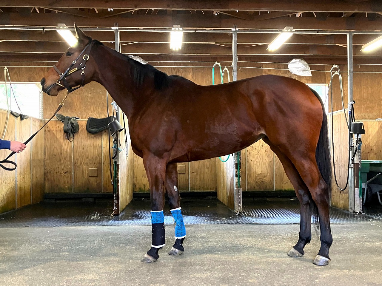 画像サムネイル