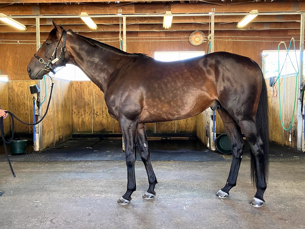 画像サムネイル