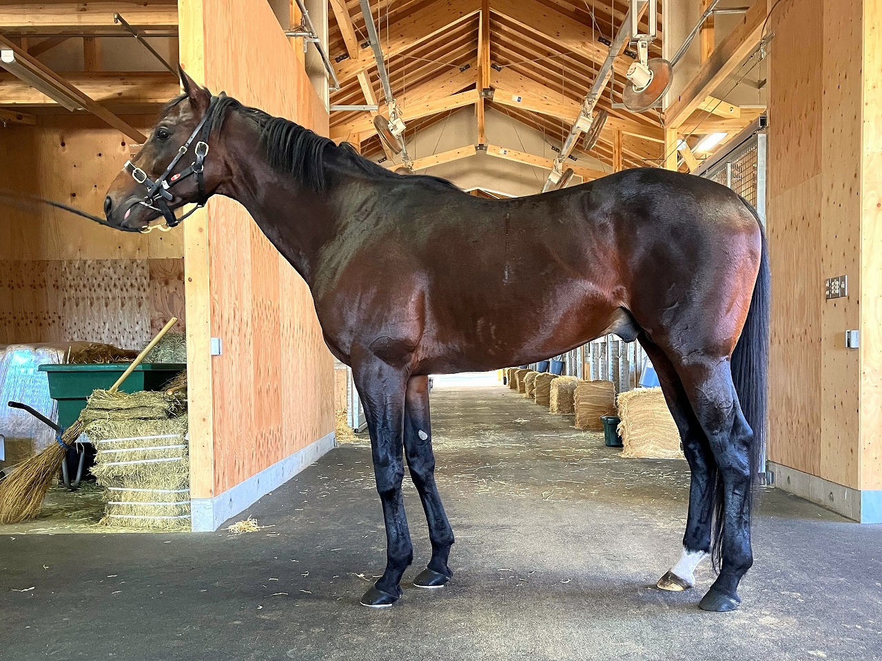 画像サムネイル