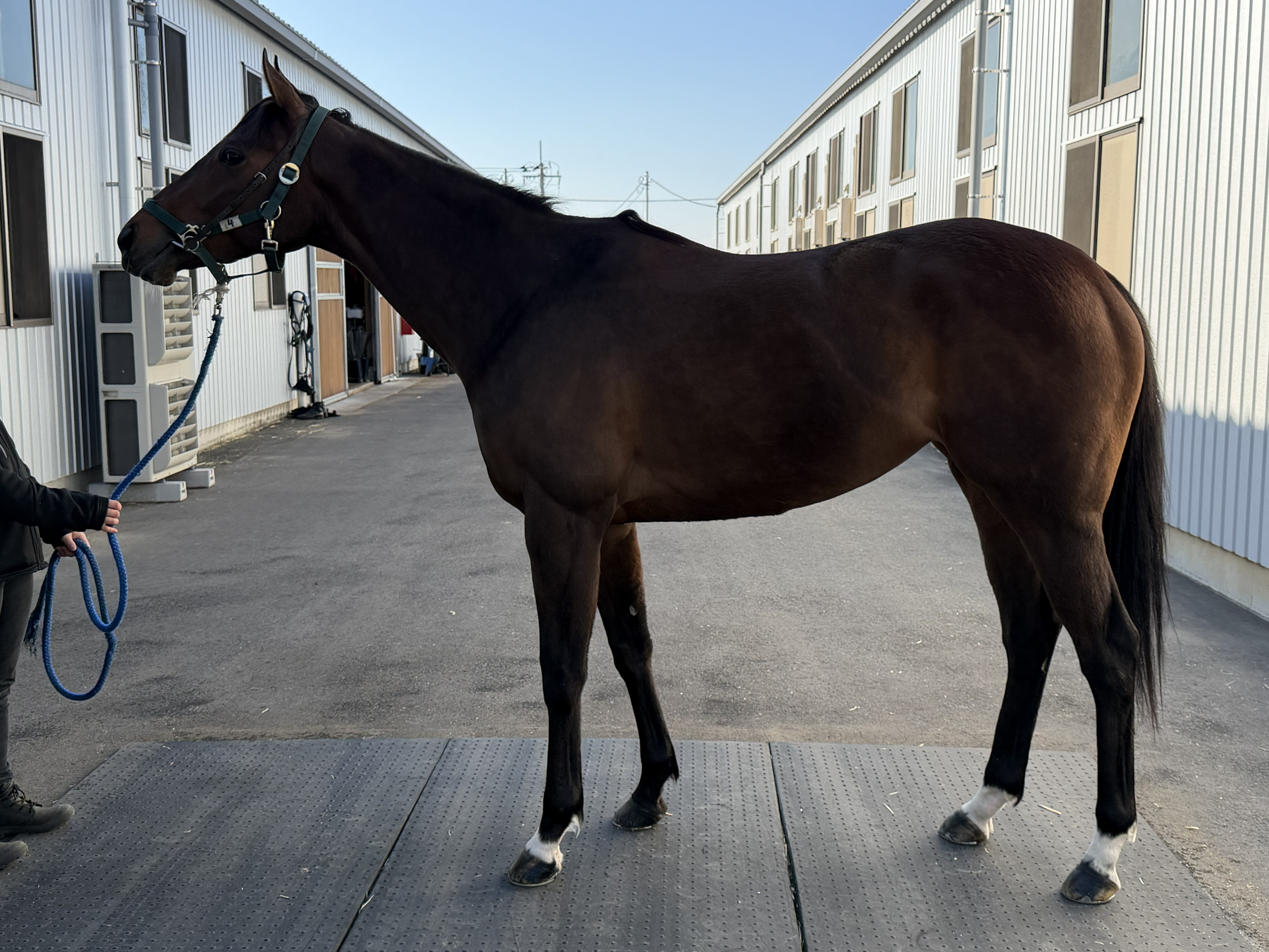 画像サムネイル