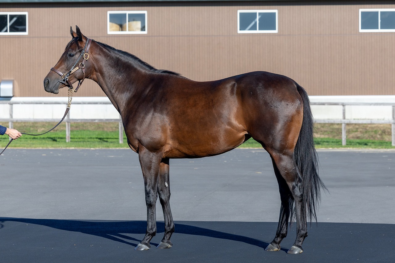 画像サムネイル