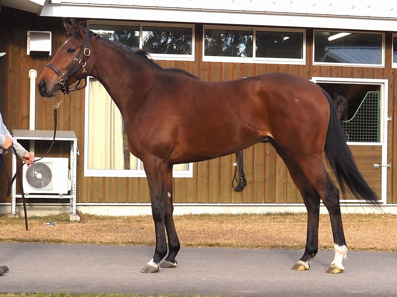 画像サムネイル