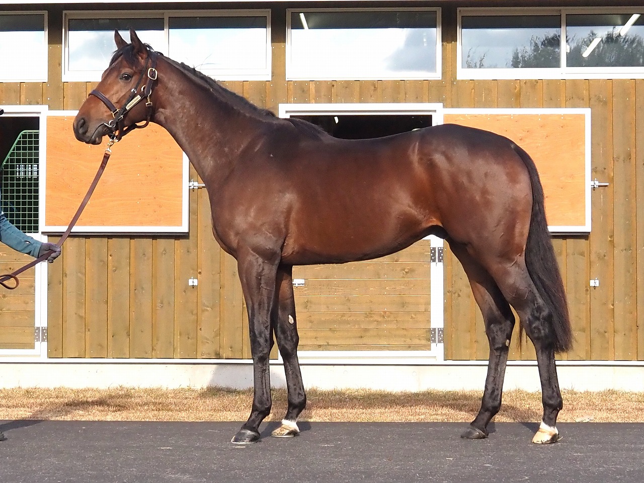 画像サムネイル