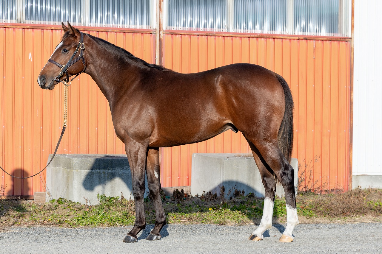 画像サムネイル