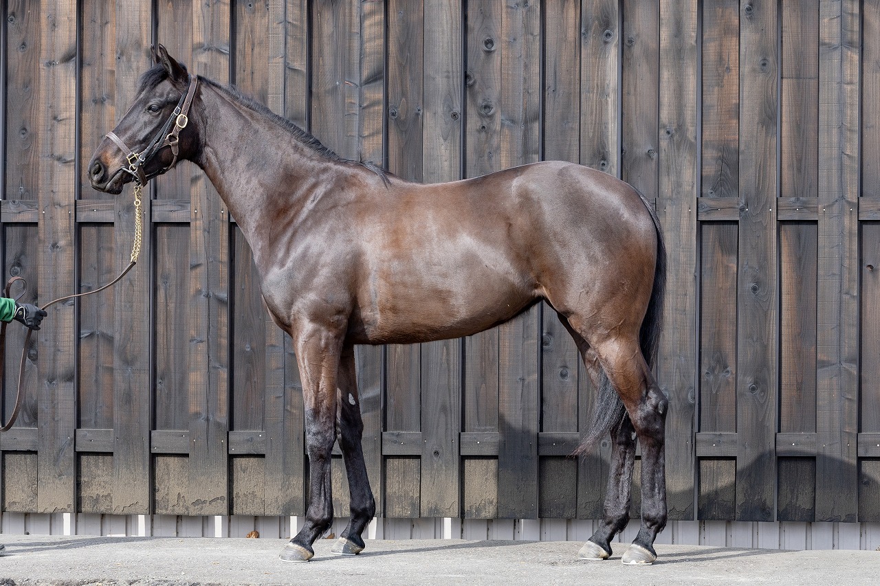 画像サムネイル