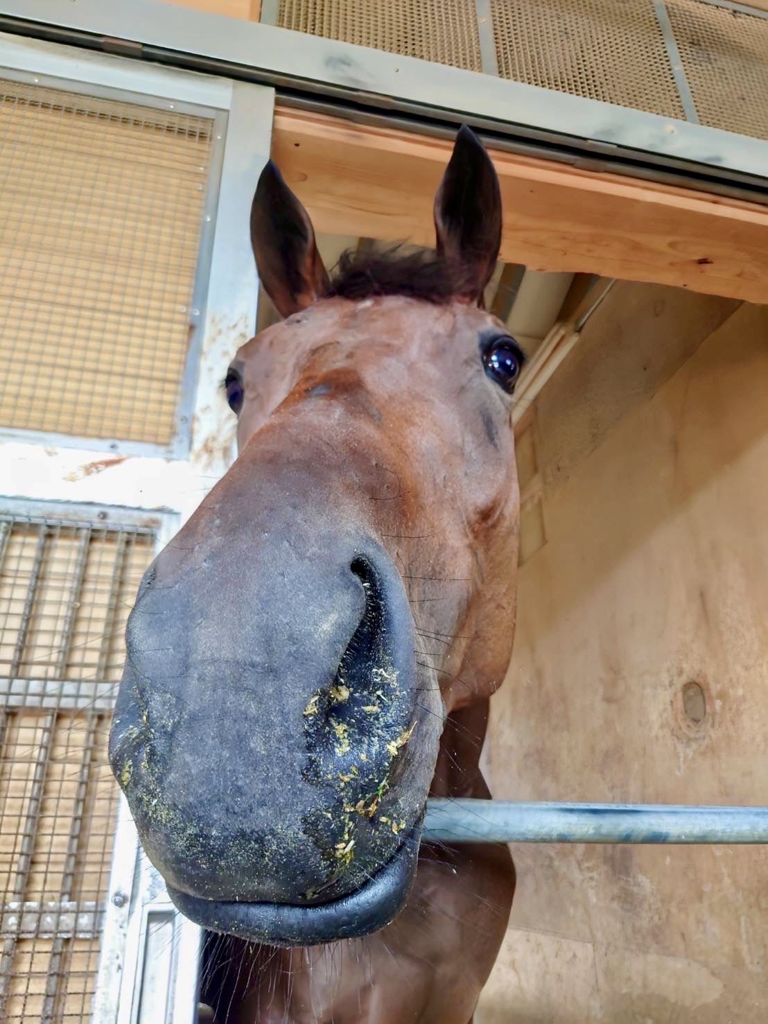 画像サムネイル