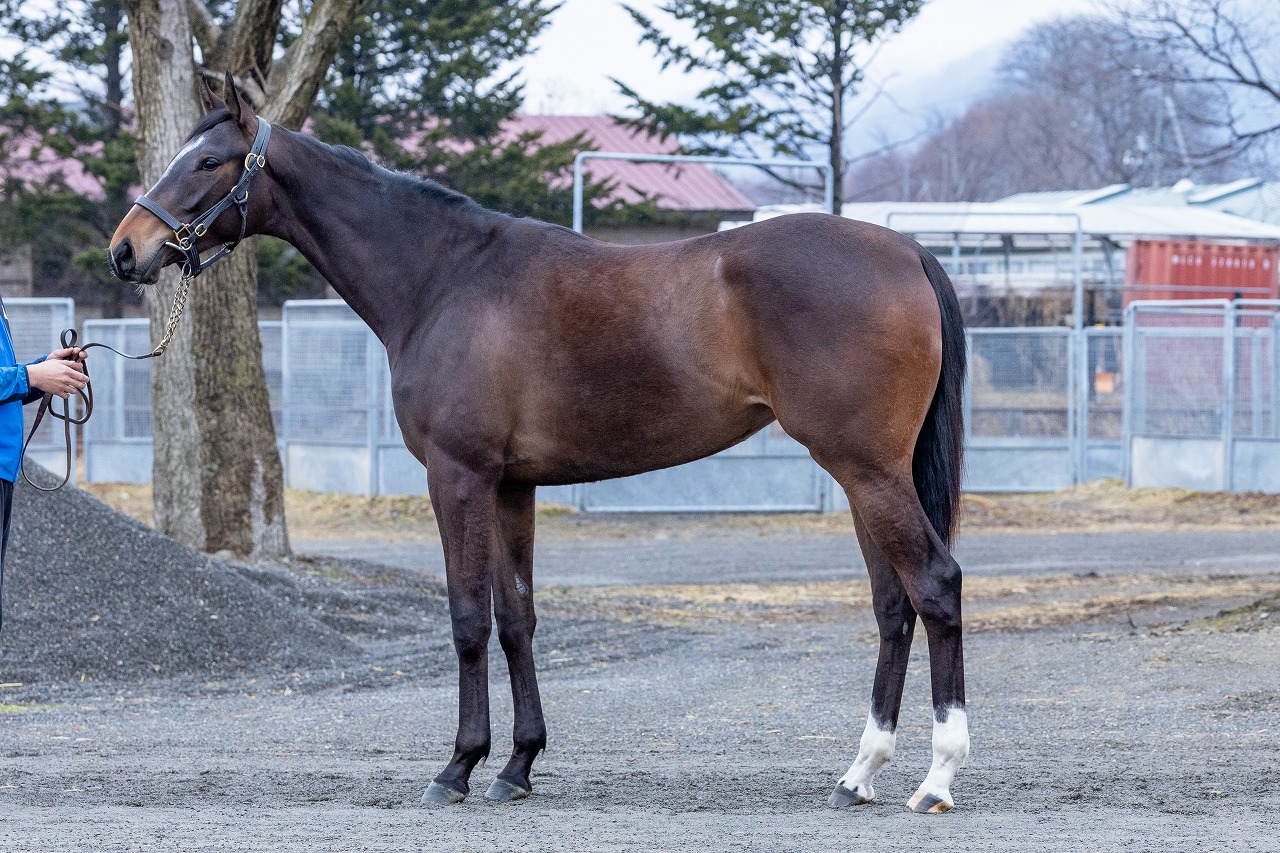 画像サムネイル