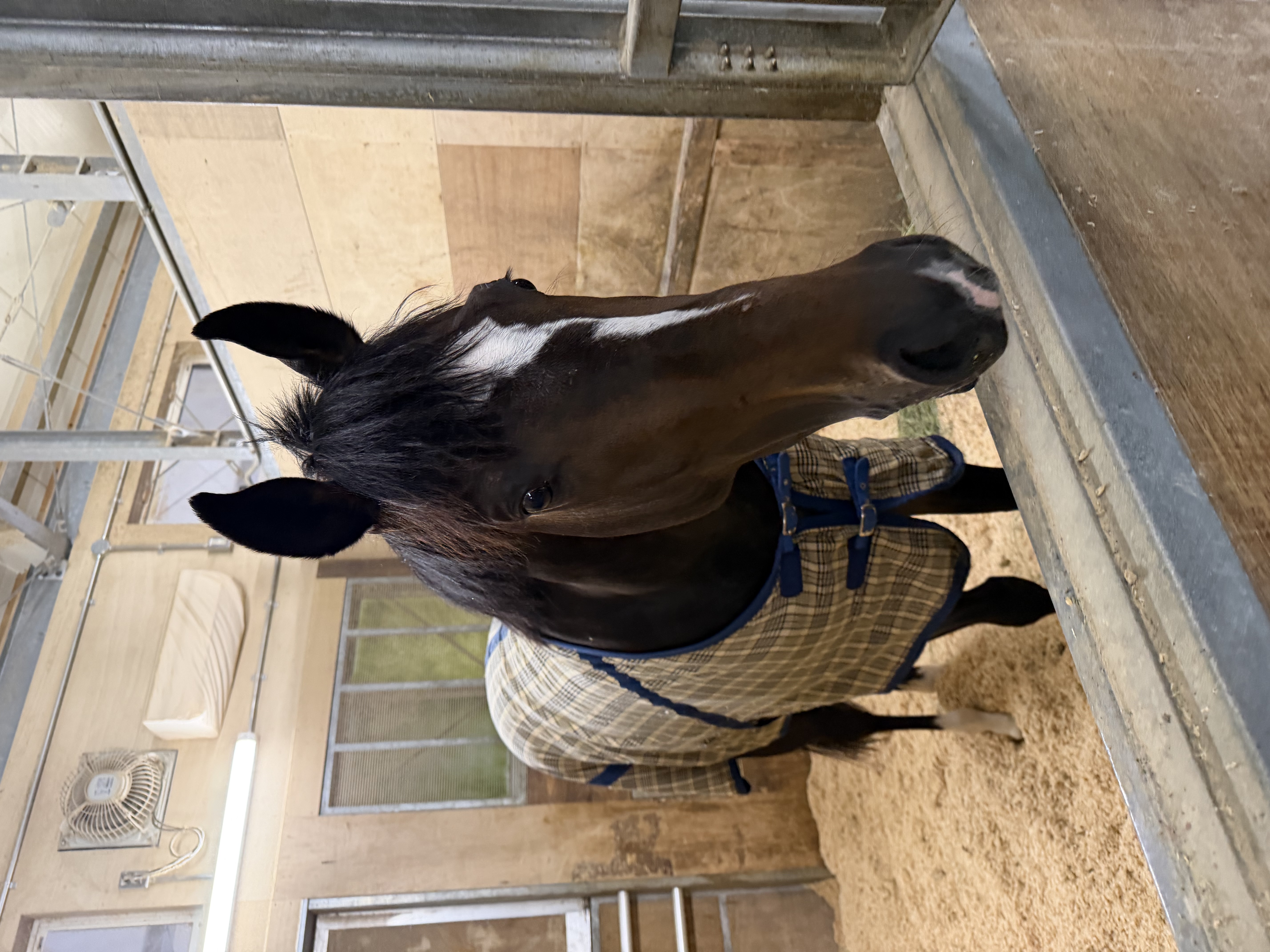 画像サムネイル